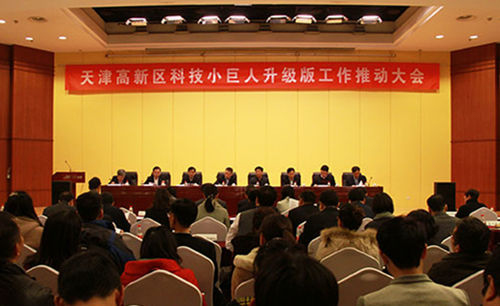 天津濱海高新區(核心區)科技小巨人升級版五年行動方案