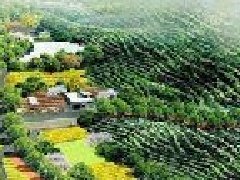 打造“零碳園區(qū)”？生態(tài)環(huán)境部公布第一批試點產(chǎn)業(yè)園區(qū)名單