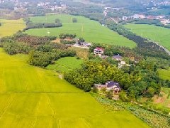 智慧園區規劃 | 產業園區該如何應對突發公共事件？