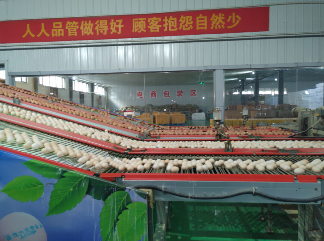 后稷故里,板棗之鄉(xiāng)——山西省稷山縣大力爭創(chuàng)國家現(xiàn)代農(nóng)業(yè)產(chǎn)業(yè)園